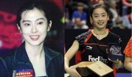 明星黑料最新 体育圈是干净的吗,揭秘明星黑料背后的真相，究竟是否干净？