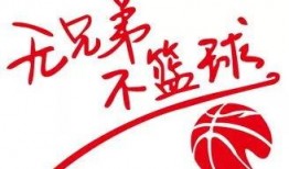 每日大赛,竞技风采尽收眼底